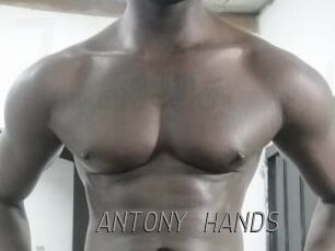 ANTONY_HANDS