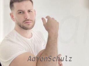 AaronSchulz