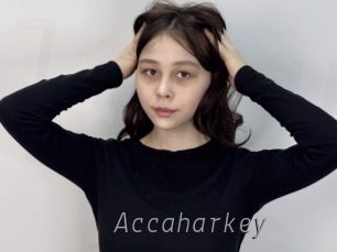 Accaharkey