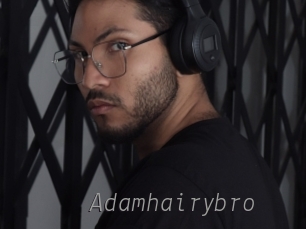 Adamhairybro