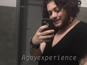 Agayexperience