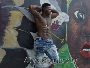 Alexbigmuscle