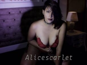 Alicescarlet