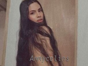 Ammycolins