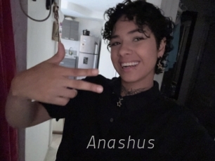 Anashus