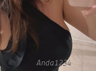 Anda1234