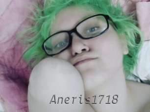 Aneris1718