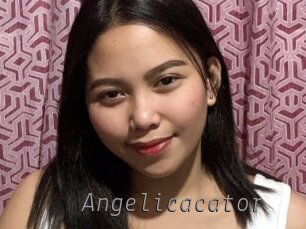 Angelicacator