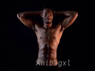 Anibigxl