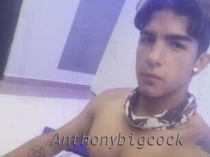 Anthonybigcock