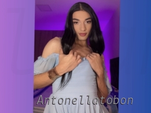 Antonellatobon