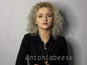 Antoniabeese