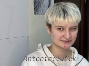 Antoniacowick