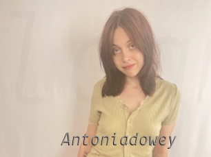 Antoniadowey