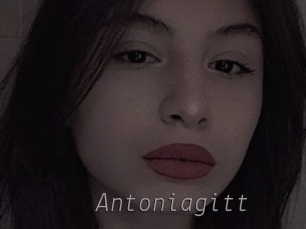 Antoniagitt