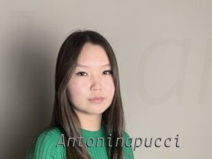 Antoninapucci