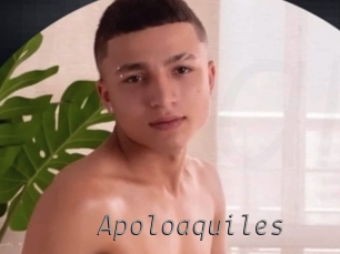 Apoloaquiles