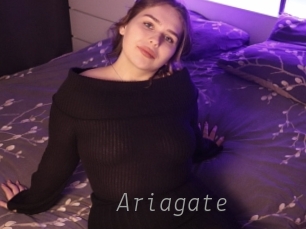 ariagate Livestrip Cams