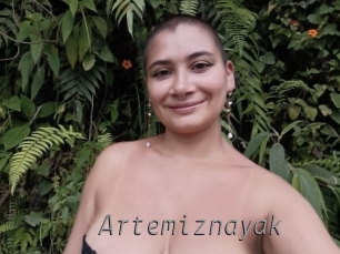 Artemiznayak