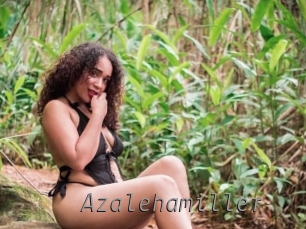 Azalehamiller