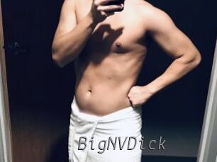 BigNVDick