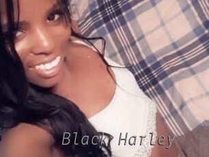 Black_Harley