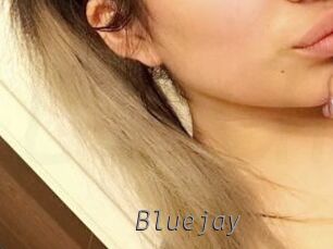 Blue_jay