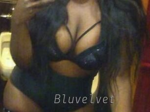 Bluvelvet