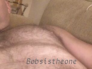 Bobsistheone