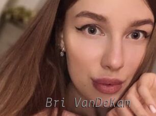 Bri_VanDeKam