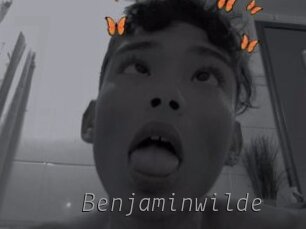 Benjaminwilde
