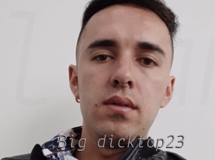 Big_dicktop23