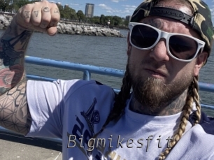 Bigmikesfit