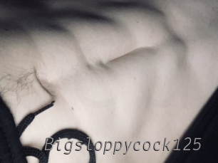 Bigsloppycock125