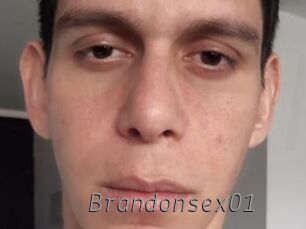 Brandonsex01