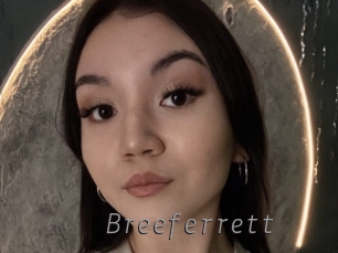 Breeferrett