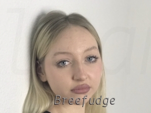 Breefudge