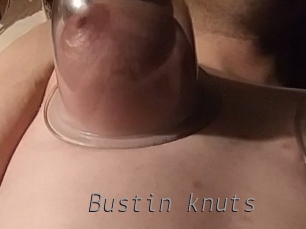 Bustin_knuts