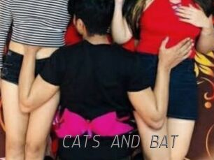 CATS_AND_BAT