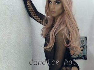 Candice_hot