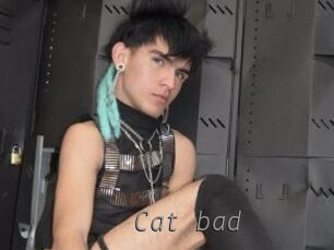 Cat_bad