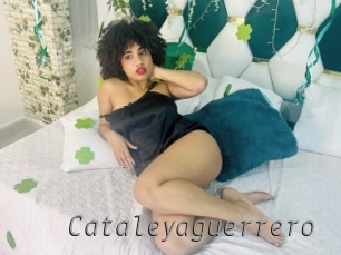 Cataleyaguerrero