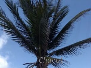 Chacul