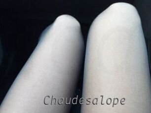 Chaudesalope