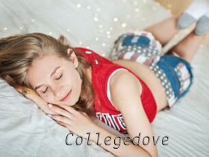 Collegedove