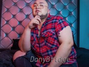 DanyBridge