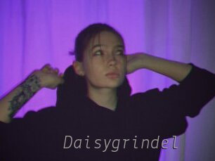 Daisygrindel