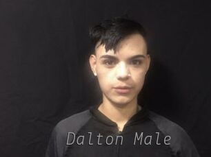 Dalton_Male