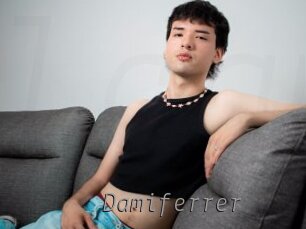 Damiferrer