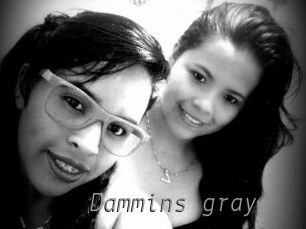 Dammins_gray